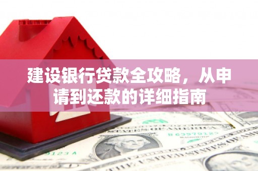 定远建设银行贷款全攻略，从申请到还款的详细指南