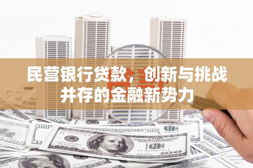 安乡民营银行贷款，创新与挑战并存的金融新势力