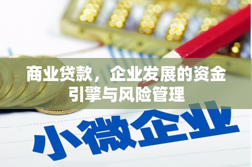 绥滨商业贷款，企业发展的资金引擎与风险管理