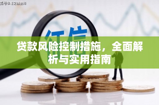 庐江贷款风险控制措施，全面解析与实用指南