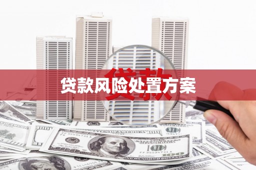 玛曲贷款风险处置方案