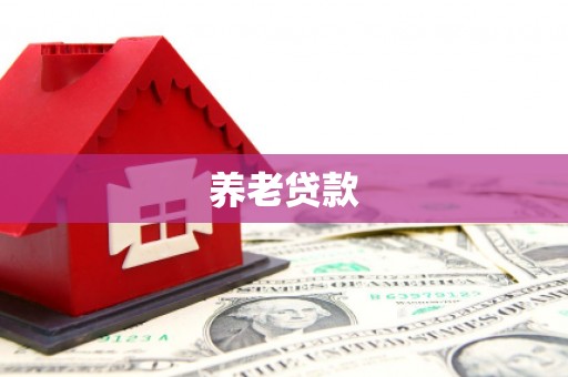 无极养老贷款