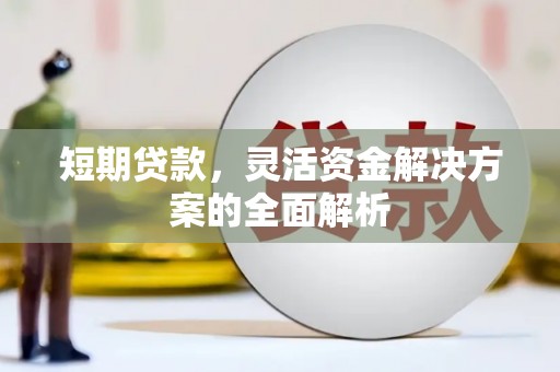 萍乡短期贷款，灵活资金解决方案的全面解析