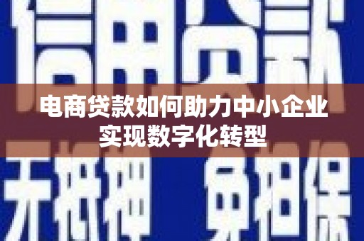 郊区电商贷款如何助力中小企业实现数字化转型