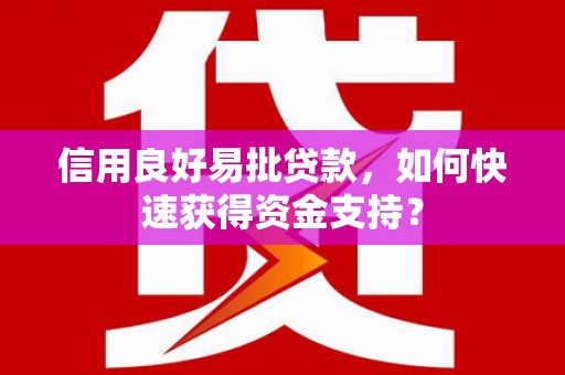 新河信用良好易批贷款，如何快速获得资金支持？