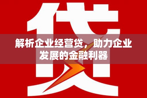 临西解析企业经营贷，助力企业发展的金融利器