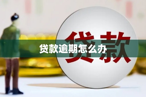 始兴贷款逾期怎么办