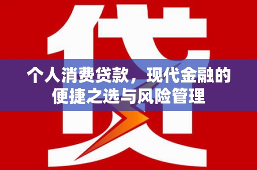 崇仁个人消费贷款，现代金融的便捷之选与风险管理