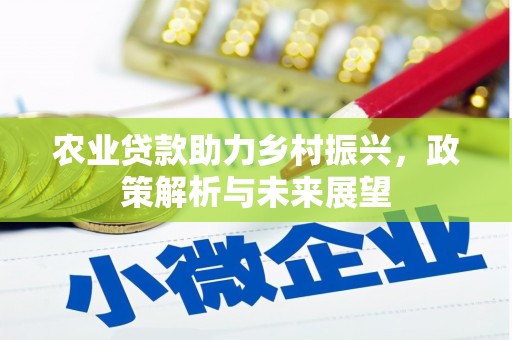 宣威农业贷款助力乡村振兴，政策解析与未来展望