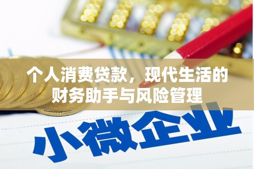 稻城个人消费贷款，现代生活的财务助手与风险管理