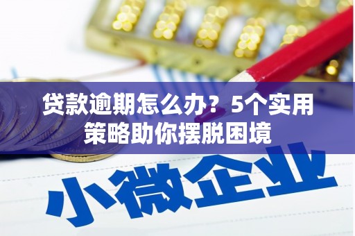 静海贷款逾期怎么办？5个实用策略助你摆脱困境