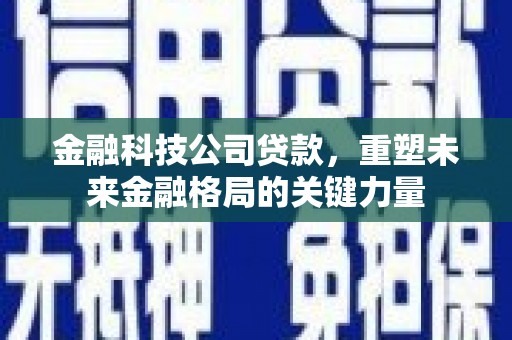 狮子山金融科技公司贷款，重塑未来金融格局的关键力量