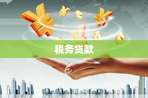 璧山税务贷款