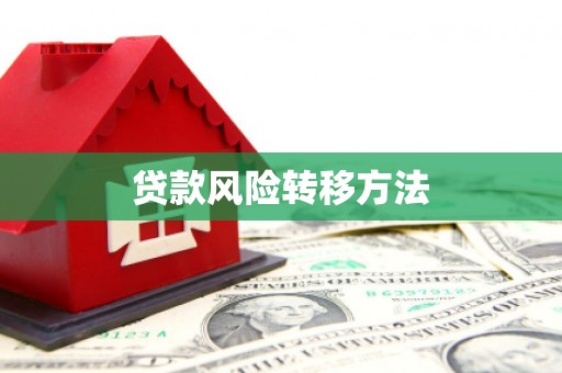 雁江贷款风险转移方法 雁江贷款风险转移方法