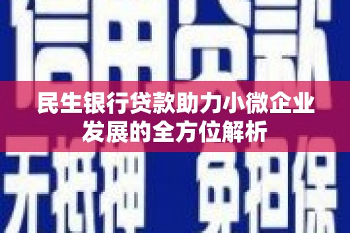 文水民生银行贷款助力小微企业发展的全方位解析