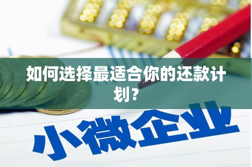 资溪如何选择最适合你的还款计划？