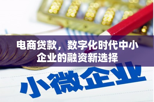 苑里电商贷款，数字化时代中小企业的融资新选择