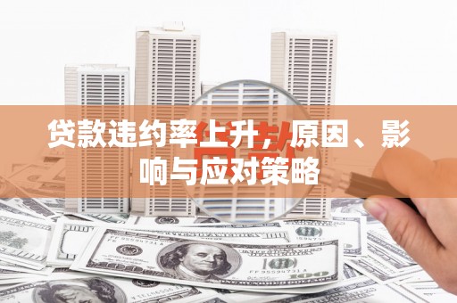 曲麻莱贷款违约率上升，原因、影响与应对策略