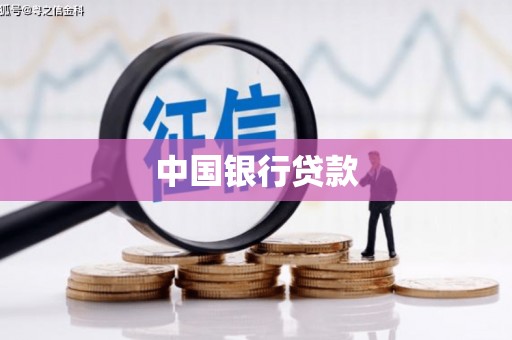 盈江中国银行贷款