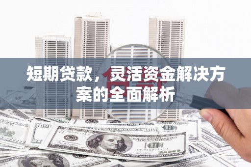 阳春短期贷款，灵活资金解决方案的全面解析