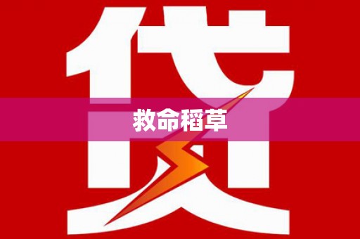 洋山救命稻草