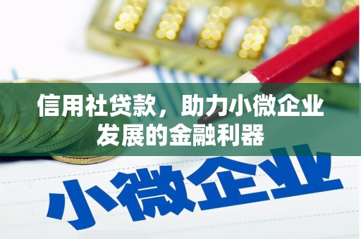 桓仁信用社贷款，助力小微企业发展的金融利器