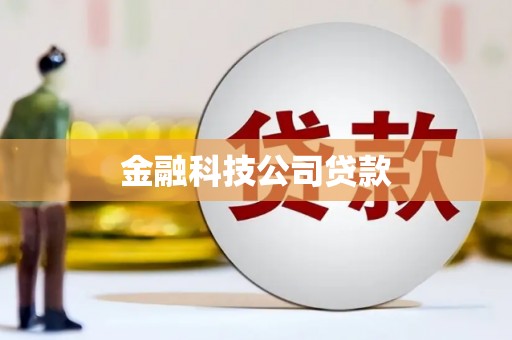 志丹金融科技公司贷款