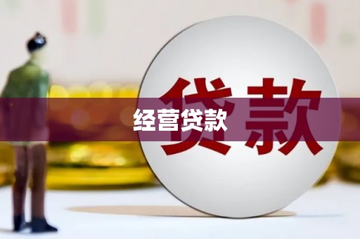 海兴经营贷款