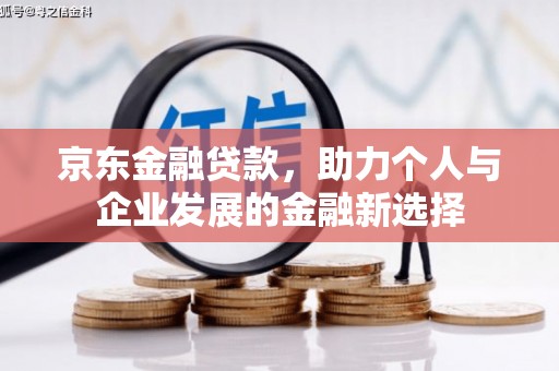 保定京东金融贷款，助力个人与企业发展的金融新选择