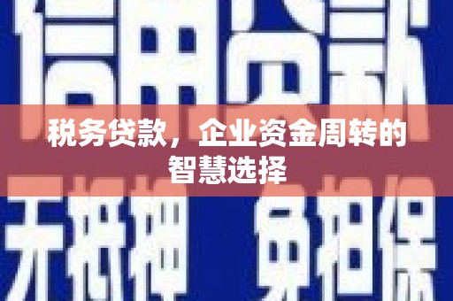 浦江税务贷款，企业资金周转的智慧选择