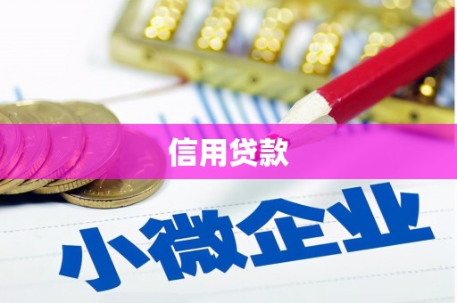 宜君信用贷款