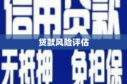 东营贷款风险评估