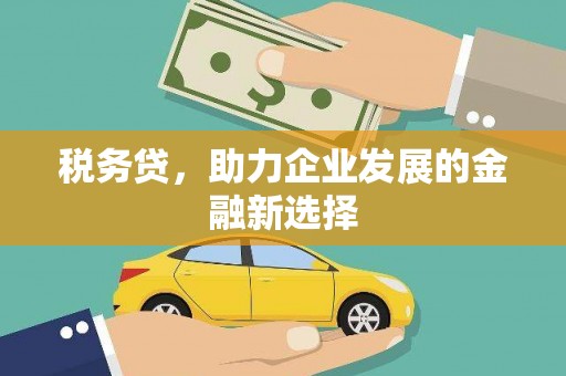 鸡东税务贷，助力企业发展的金融新选择