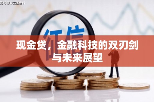 葵青现金贷，金融科技的双刃剑与未来展望