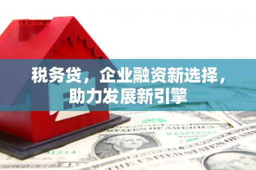 宝兴税务贷，企业融资新选择，助力发展新引擎