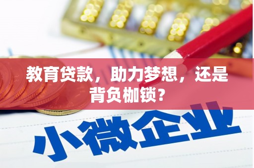 开阳教育贷款，助力梦想，还是背负枷锁？