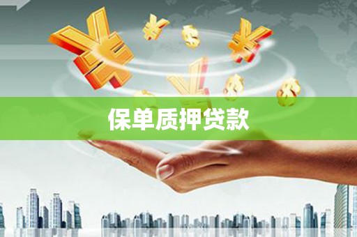 新都保单质押贷款