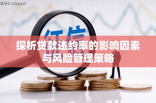 大甲探析贷款违约率的影响因素与风险管理策略