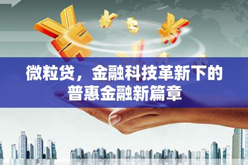 徐闻微粒贷，金融科技革新下的普惠金融新篇章