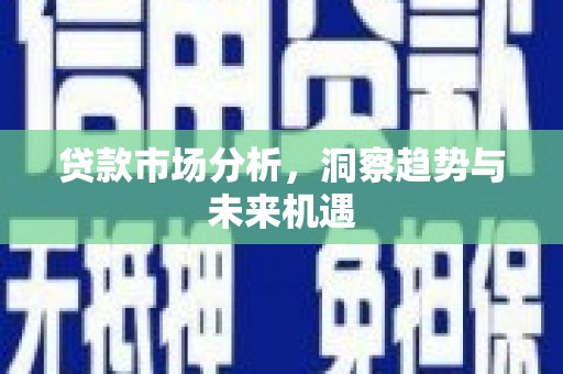 新河贷款市场分析，洞察趋势与未来机遇