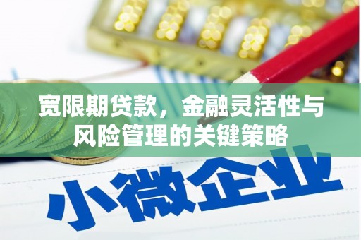 盐边宽限期贷款，金融灵活性与风险管理的关键策略