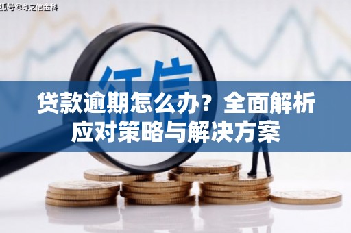 双清贷款逾期怎么办？全面解析应对策略与解决方案