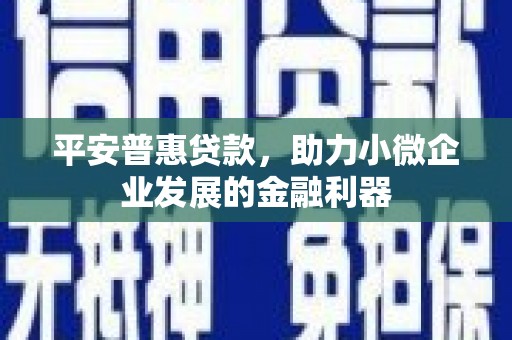 隆回平安普惠贷款，助力小微企业发展的金融利器