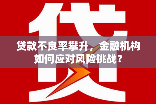 滨江贷款不良率攀升，金融机构如何应对风险挑战？