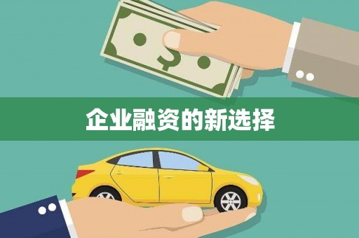 安仁企业融资的新选择