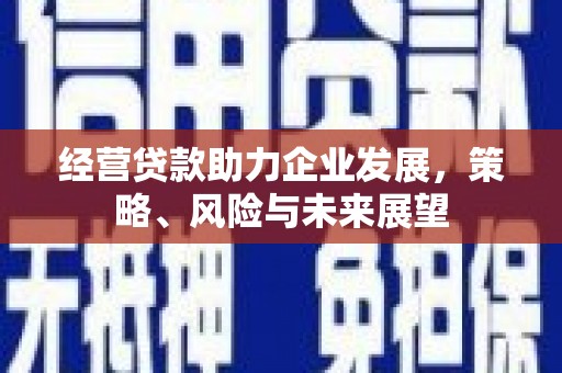 龙潭经营贷款助力企业发展，策略、风险与未来展望