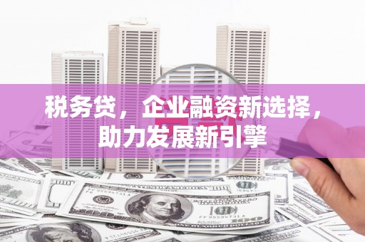 永泰税务贷，企业融资新选择，助力发展新引擎