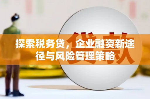 措美探索税务贷，企业融资新途径与风险管理策略