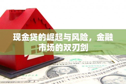 颍泉现金贷的崛起与风险，金融市场的双刃剑