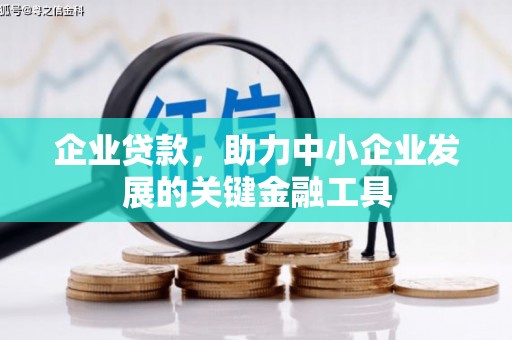 卑南企业贷款，助力中小企业发展的关键金融工具